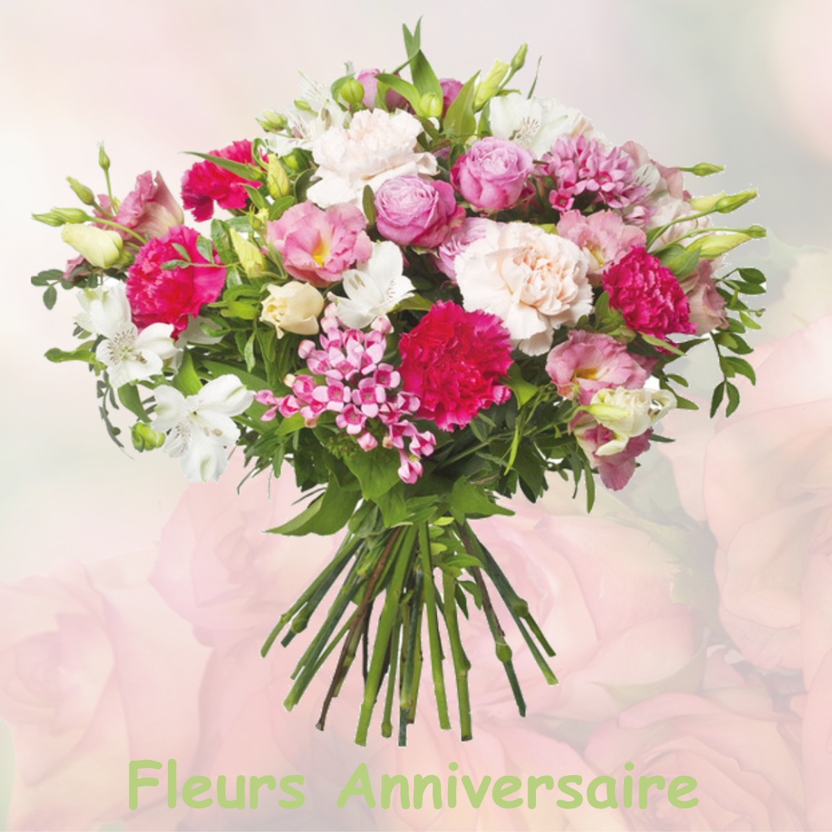 fleurs anniversaire BUZY-DARMONT