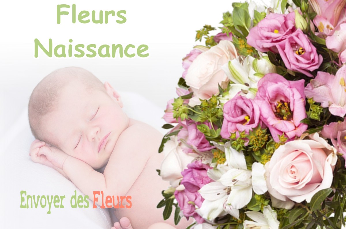 lIVRAISON FLEURS NAISSANCE à BUZY-DARMONT